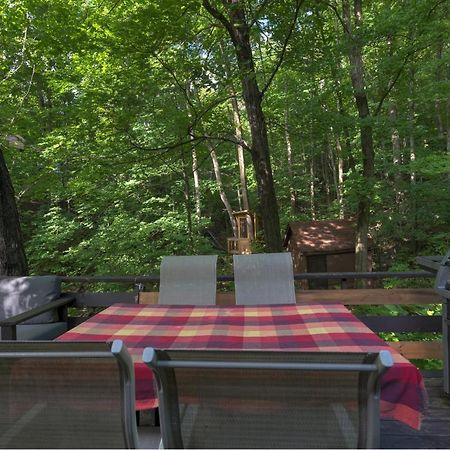 Chalet Dans Les Arbres. 3 Ch. /Trees House 3Bdr Lac Sainte-Marie Esterno foto