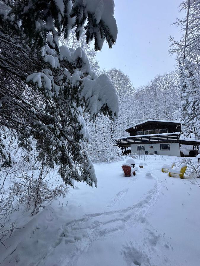 Chalet Dans Les Arbres. 3 Ch. /Trees House 3Bdr Lac Sainte-Marie Esterno foto