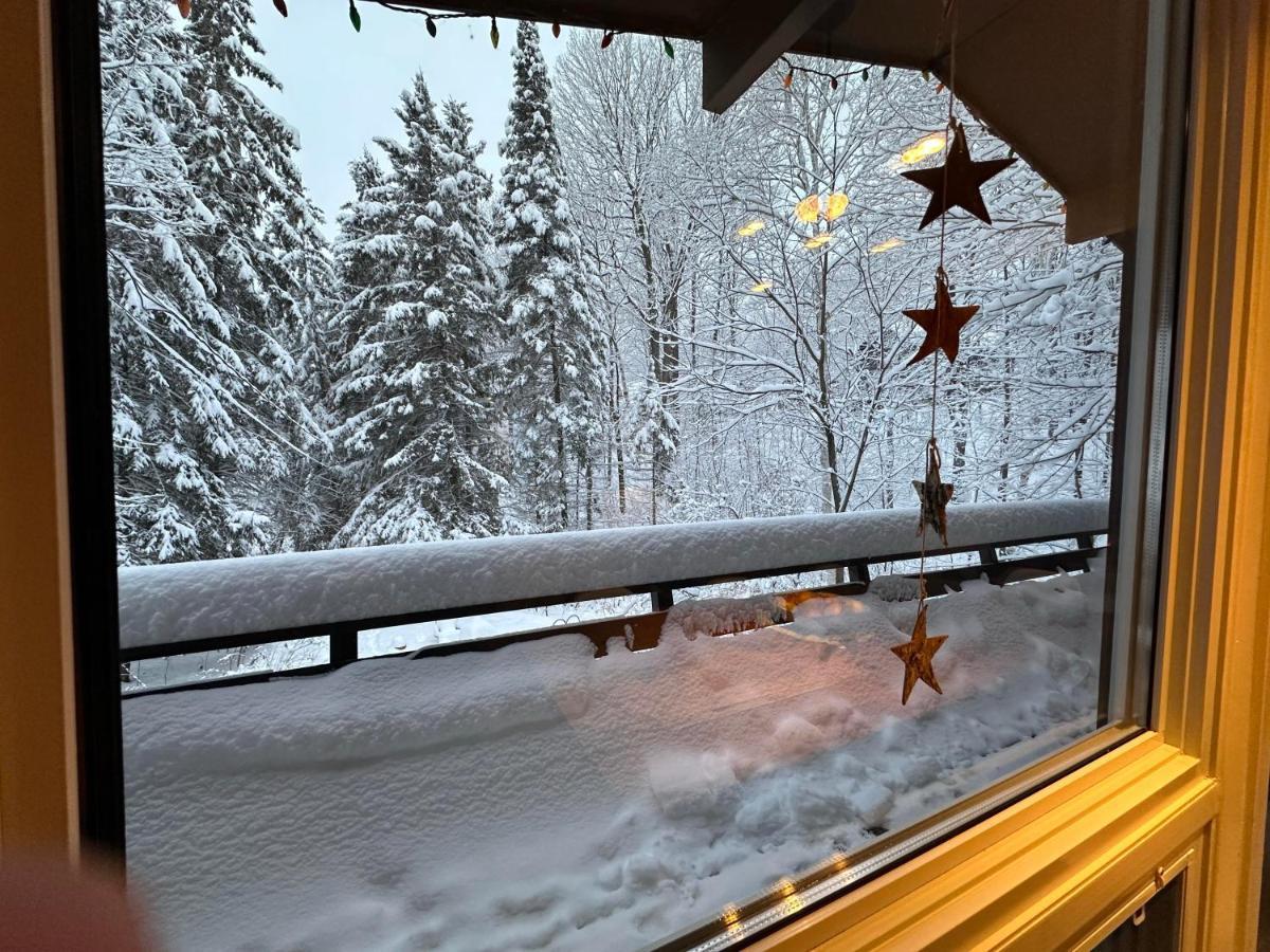 Chalet Dans Les Arbres. 3 Ch. /Trees House 3Bdr Lac Sainte-Marie Esterno foto